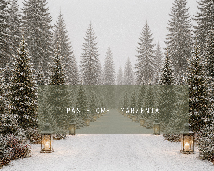 Fabric photographic background from the Christmas category, Frame 250x200 cm