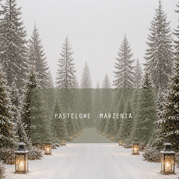 Fabric photographic background from the Christmas category, Frame 250x250 cm