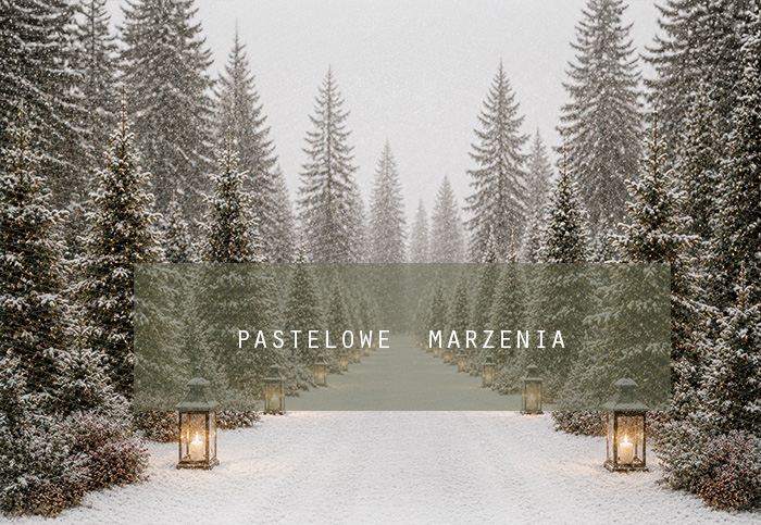 Fabric photographic background from the Christmas category, Frame 290x200 cm