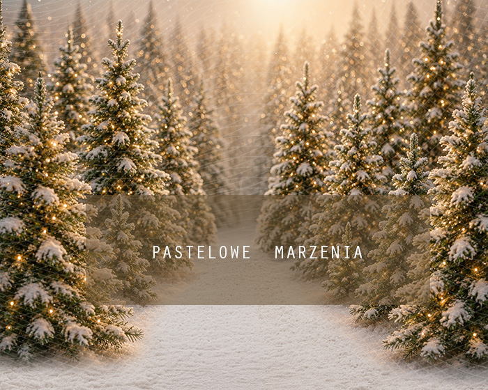Fabric photographic background from the Christmas category, Frame 250x200 cm