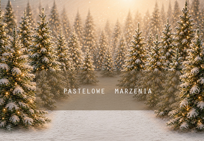 Fabric photographic background from the Christmas category, Frame 290x200 cm