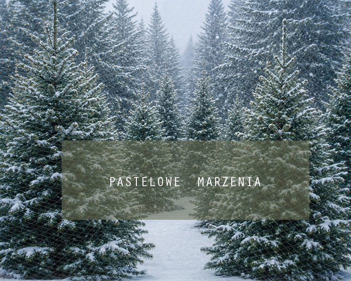 Fabric photographic background from the Christmas category, Frame 250x200 cm