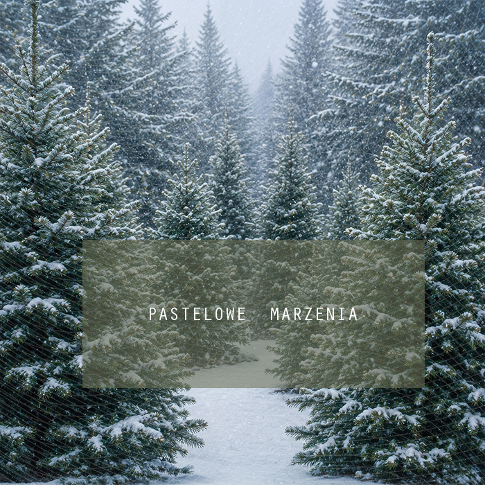 Fabric photographic background from the Christmas category, Frame 250x250 cm