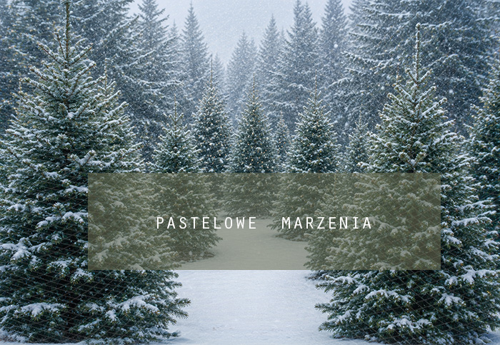 Fabric photographic background from the Christmas category, Frame 290x200 cm