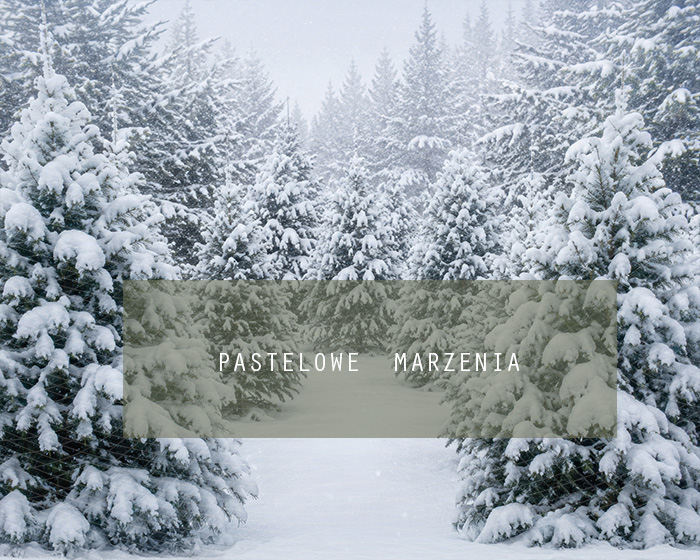Fabric photographic background from the Christmas category, Frame 250x200 cm