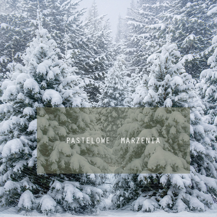 Fabric photographic background from the Christmas category, Frame 250x250 cm