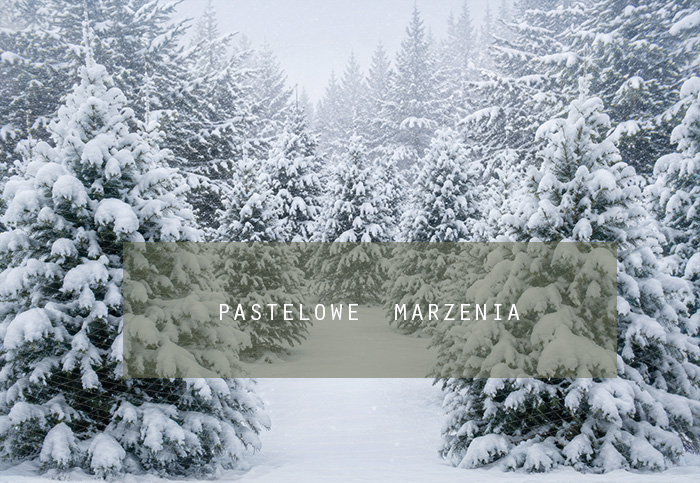 Fabric photographic background from the Christmas category, Frame 290x200 cm