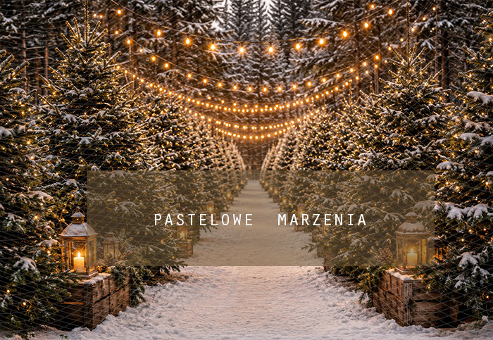 Fabric photographic background from the Christmas category, Frame 290x200 cm