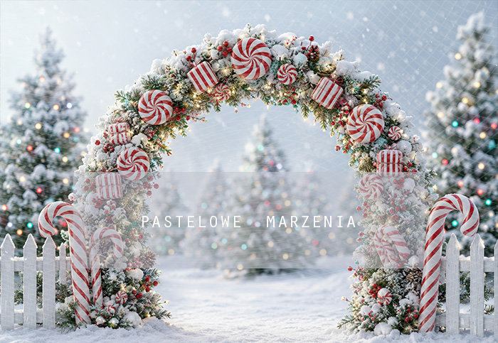 Fabric photographic background from the Christmas category, Frame 290x200 cm