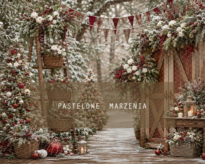 Fabric photographic background from the Christmas category, Frame 250x200 cm