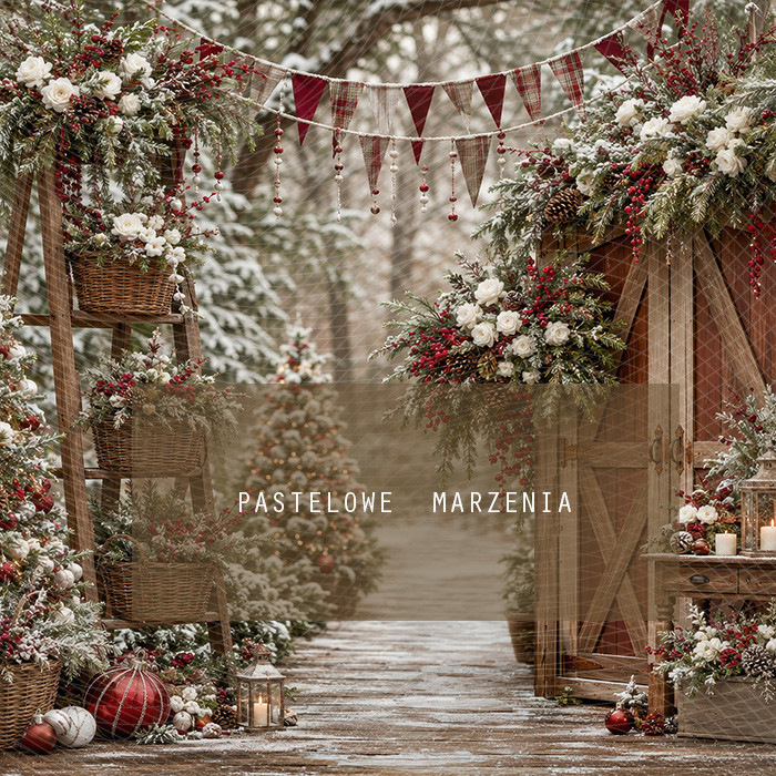 Fabric photographic background from the Christmas category, Frame 250x250 cm