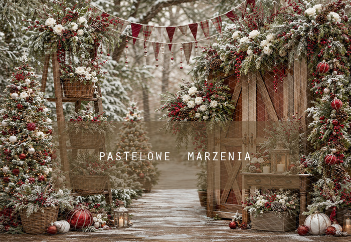 Fabric photographic background from the Christmas category, Frame 290x200 cm