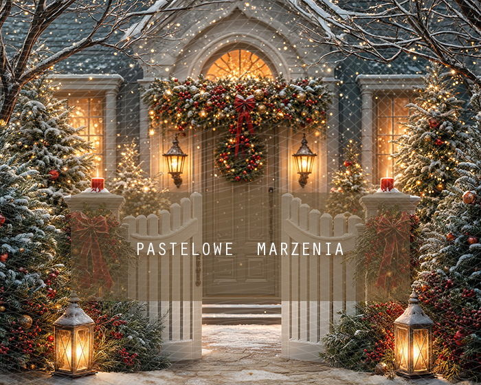 Fabric photographic background from the Christmas category, Frame 250x200 cm