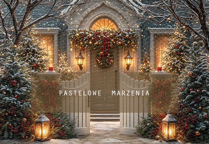 Fabric photographic background from the Christmas category, Frame 290x200 cm