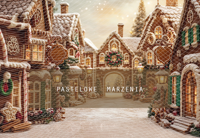 Fabric photographic background from the Christmas category, Frame 290x200 cm