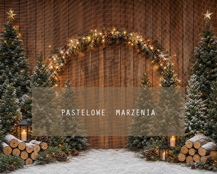 Fabric photographic background from the Christmas category, Frame 250x200 cm
