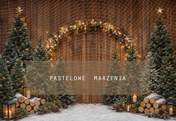 Fabric photographic background from the Christmas category, Frame 290x200 cm