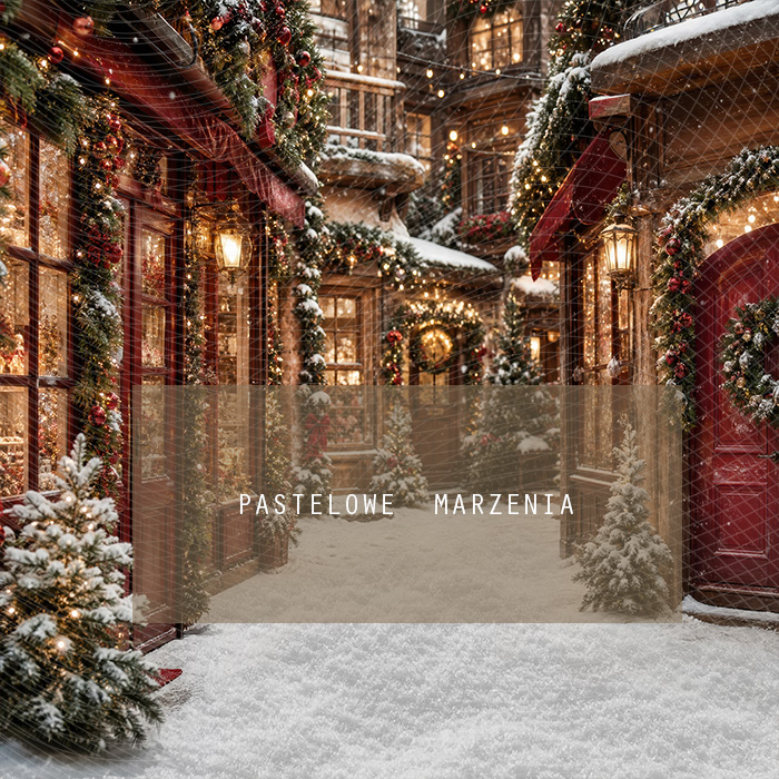 Fabric photographic background from the Christmas category, Frame 250x250 cm