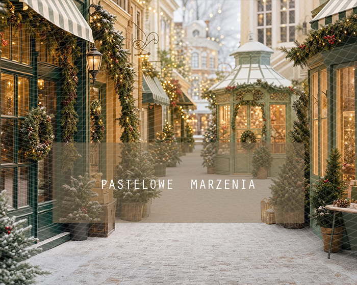 Fabric photographic background from the Christmas category, Frame 250x200 cm
