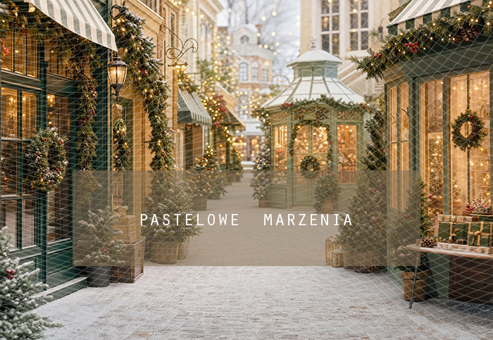 Fabric photographic background from the Christmas category, Frame 290x200 cm