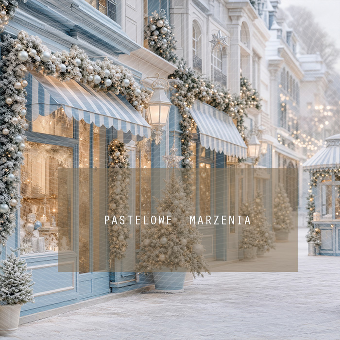 Fabric photographic background from the Christmas category, Frame 250x250 cm