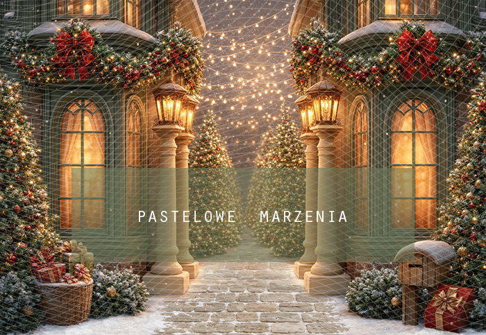 Fabric photographic background from the Christmas category, Frame 290x200 cm