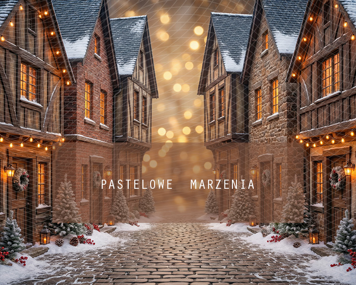 Fabric photographic background from the Christmas category, Frame 250x200 cm