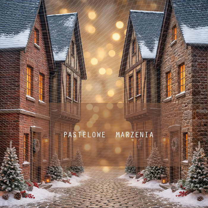 Fabric photographic background from the Christmas category, Frame 250x250 cm