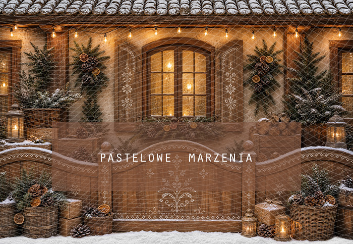Fabric photographic background from the Christmas category, Frame 290x200 cm