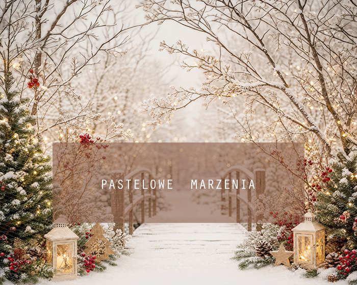 Fabric photographic background from the Christmas category, Frame 250x200 cm