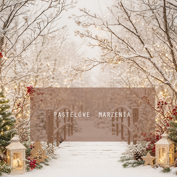 Fabric photographic background from the Christmas category, Frame 250x250 cm