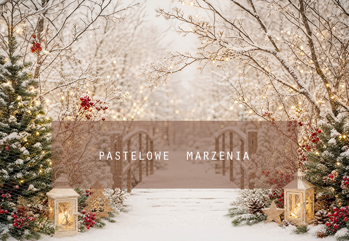 Fabric photographic background from the Christmas category, Frame 290x200 cm