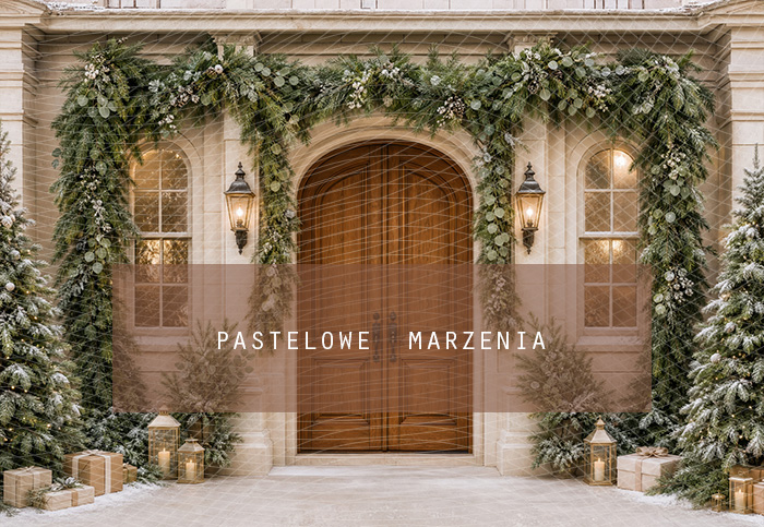 Fabric photographic background from the Christmas category, Frame 290x200 cm