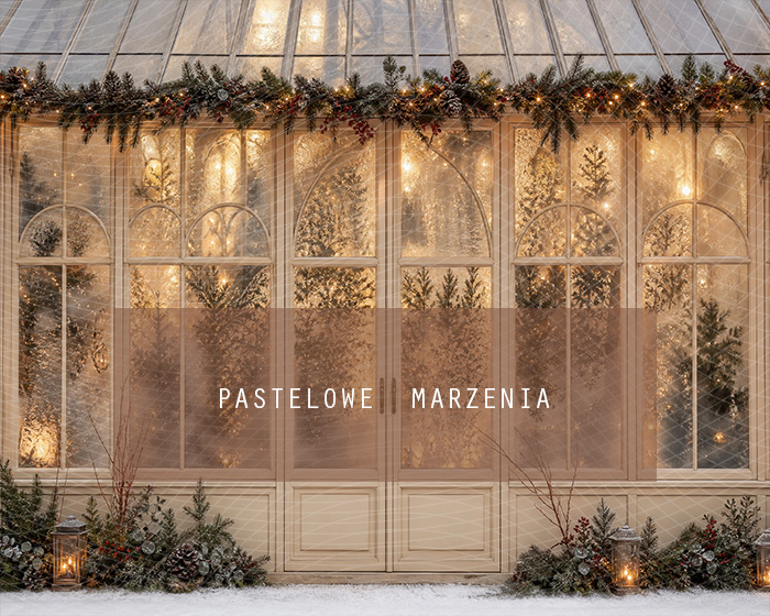 Fabric photographic background from the Christmas category, Frame 250x200 cm