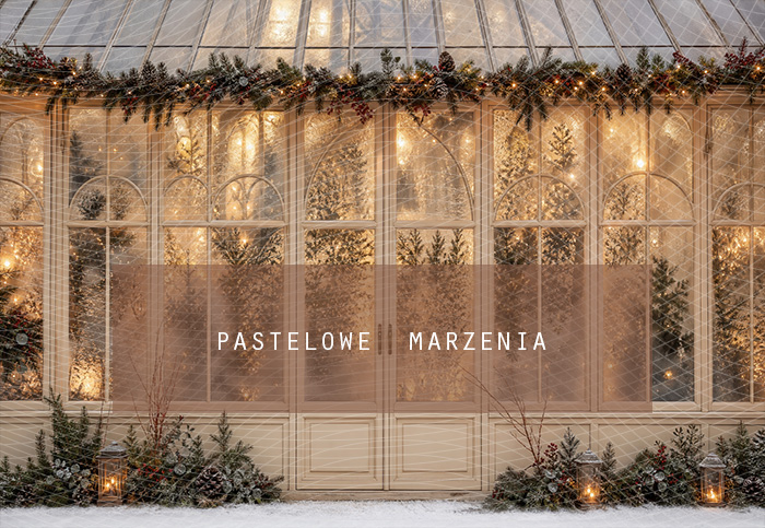 Fabric photographic background from the Christmas category, Frame 290x200 cm