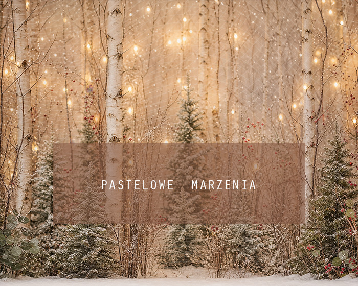 Fabric photographic background from the Christmas category, Frame 250x200 cm