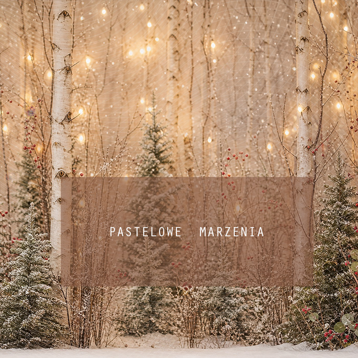 Fabric photographic background from the Christmas category, Frame 250x250 cm