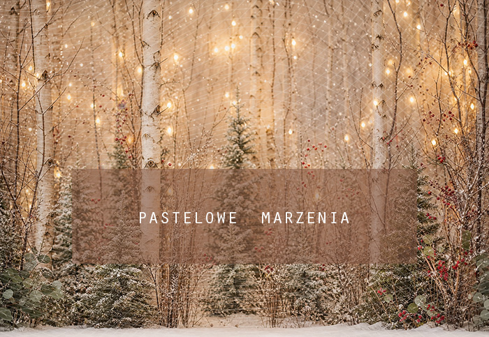 Fabric photographic background from the Christmas category, Frame 290x200 cm