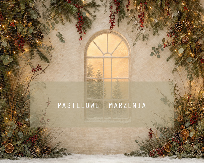 Fabric photographic background from the Christmas category, Frame 250x200 cm