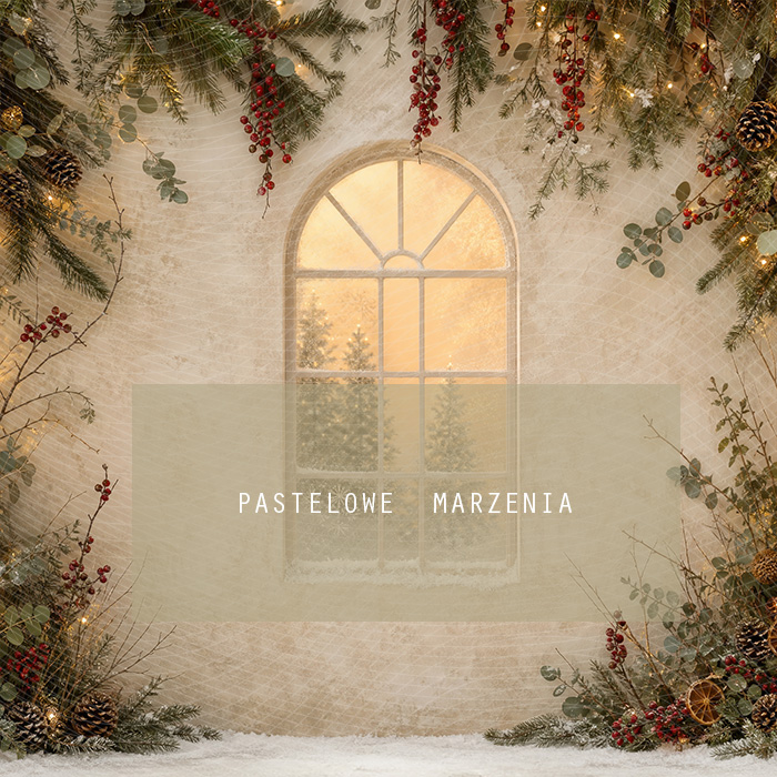 Fabric photographic background from the Christmas category, Frame 250x250 cm
