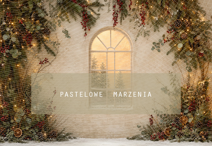 Fabric photographic background from the Christmas category, Frame 290x200 cm