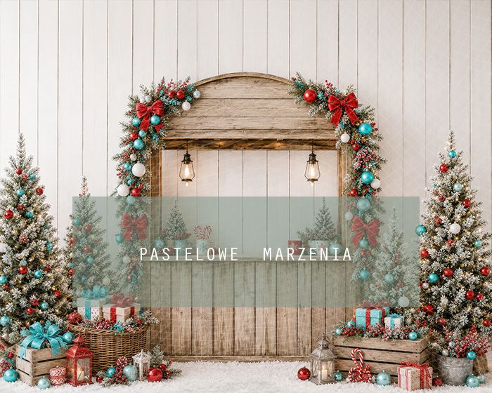 Fabric photographic background from the Christmas category, Frame 250x200 cm