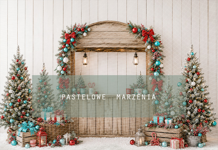 Fabric photographic background from the Christmas category, Frame 290x200 cm