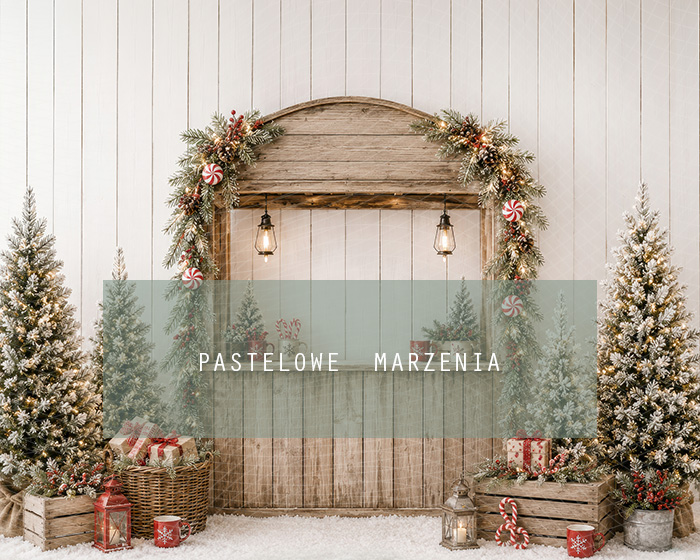 Fabric photographic background from the Christmas category, Frame 250x200 cm