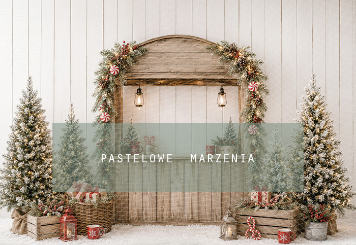 Fabric photographic background from the Christmas category, Frame 290x200 cm