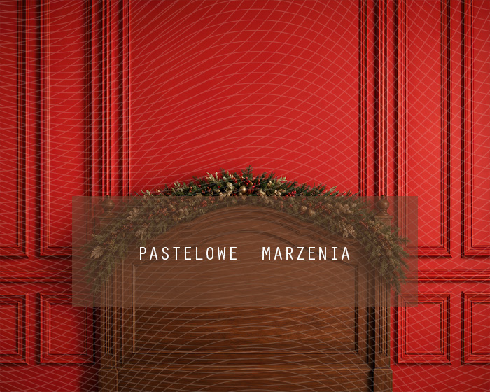Fabric photographic background from the Christmas category, Frame 250x200 cm