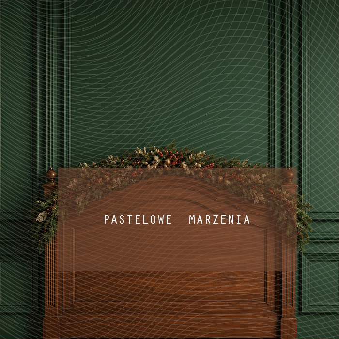 Fabric photographic background from the Christmas category, Frame 250x250 cm
