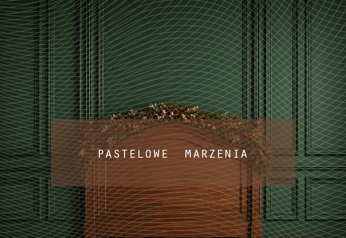 Fabric photographic background from the Christmas category, Frame 290x200 cm