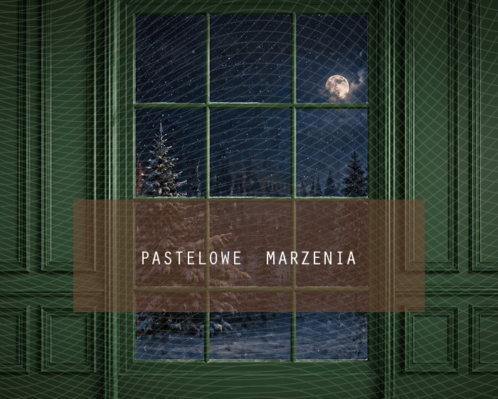 Fabric photographic background from the Christmas category, Crop 250x200 cm