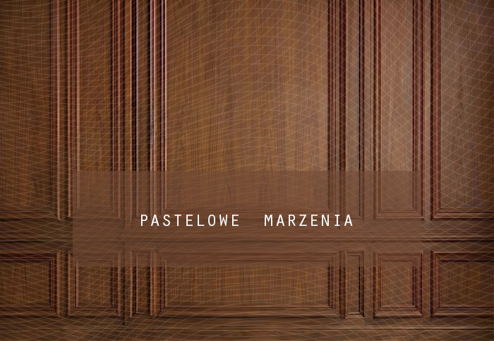 Fabric photographic background from the Christmas category, Frame 290x200 cm